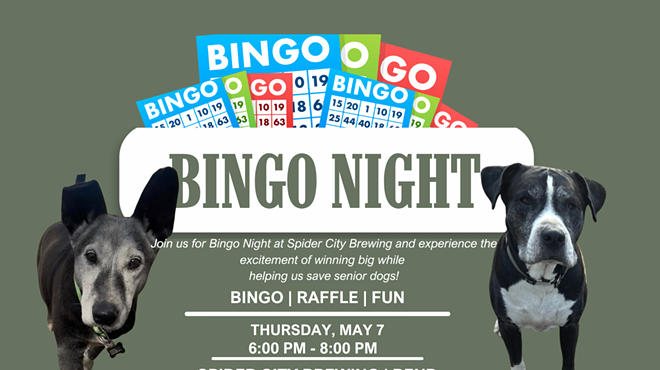 Image: BINGO!