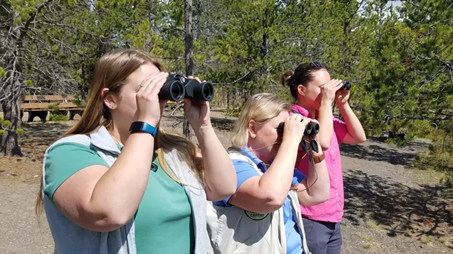 Image: Bird Walk