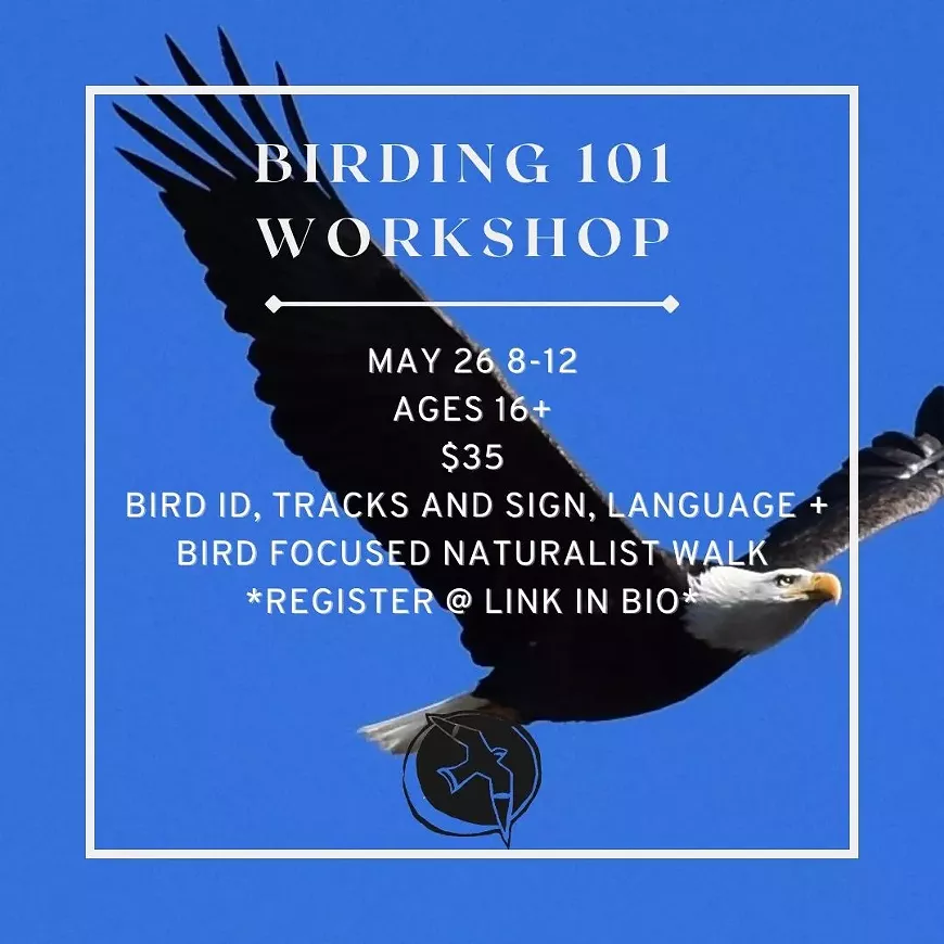 Birding 101 Workshop