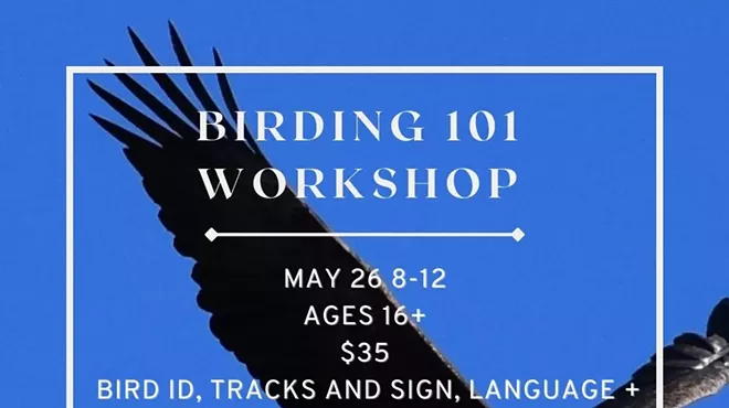 Image: Birding 101 Workshop