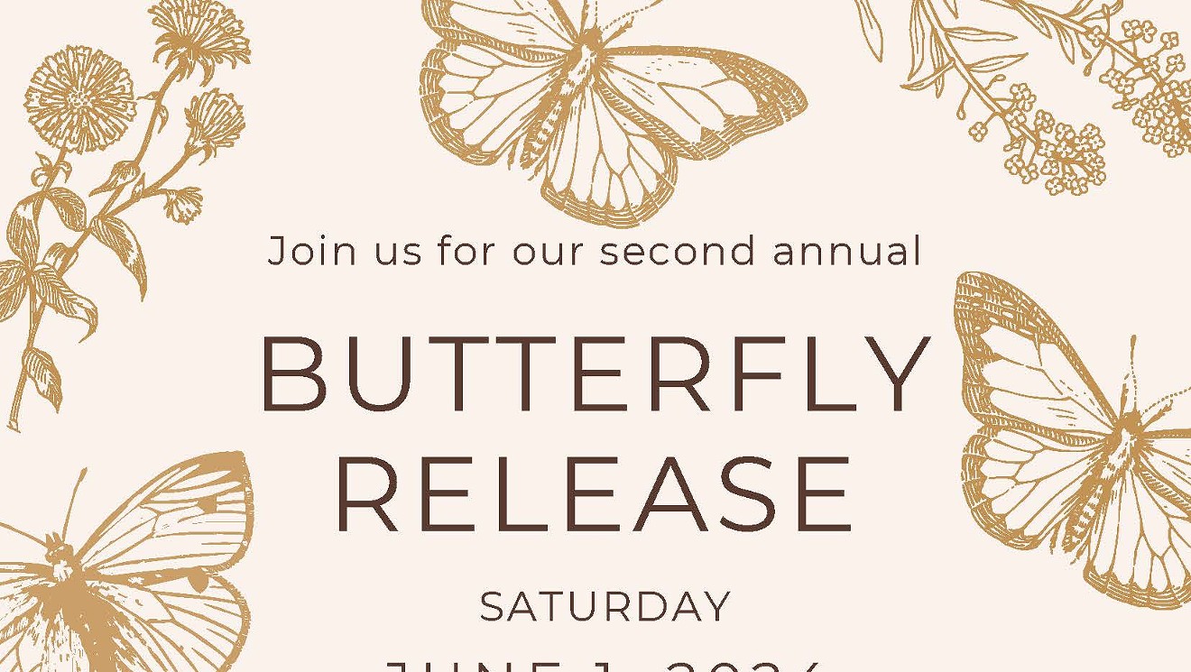 Bristol Hospice Butterfly Release Event