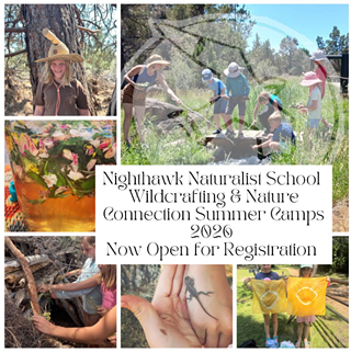 Image: Bushcraft and Wildcrafting Summer Camps