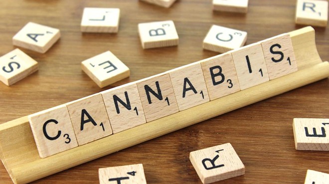 Cannabis Collab Seeking New Members
