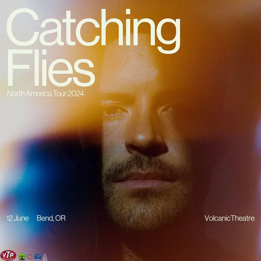 catching_flies.webp