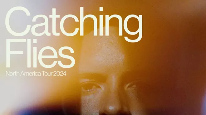 Image: Catching Flies