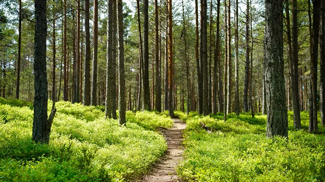 Image: Central Oregon PCT Trail Angel info & meetup