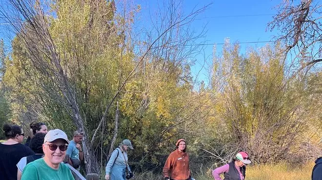 Image: City Nature Challenge - Plant BioBlitz at Shevlin Park Beaver Meadow