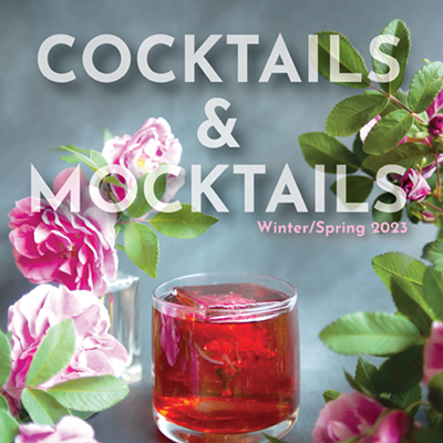 Cocktails and Mocktails Guide 2023 [With Video ▶] (2)