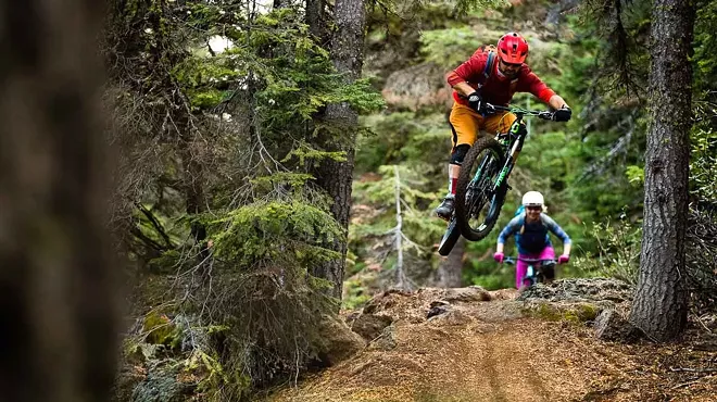 Image: Cog Wild Progression Session