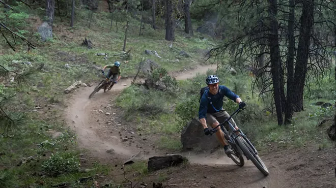 Image: Cog Wild Saturday Progression Session
