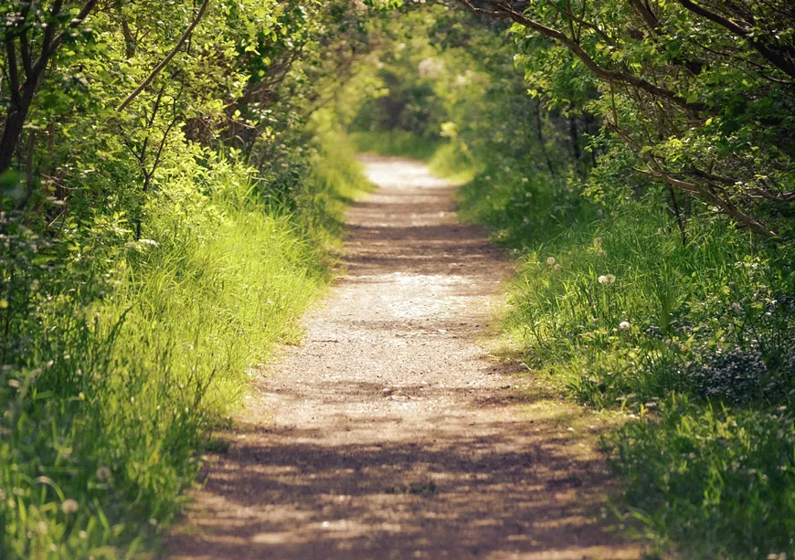 megan-lee-shq15rzgo1g-unsplash.webp