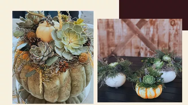 Image: Create a Beautiful Succulent Pumpkin at the Vineyard!