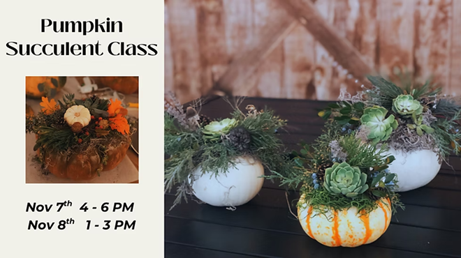 Image: Create a Beautiful Succulent Pumpkin at the Vineyard!