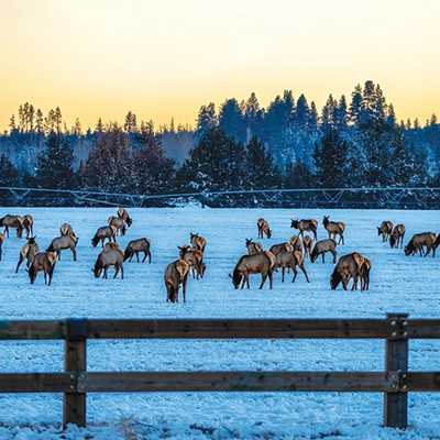 Danger Ahead in the Bend to Suttle Lake Wildlife Corridor