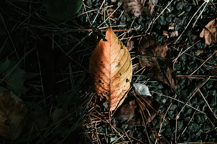 abdulaziz-alfawzan-tch-cmo0jsg-unsplash.webp