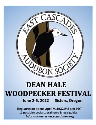 Image: Dean Hale Woodpecker Festival