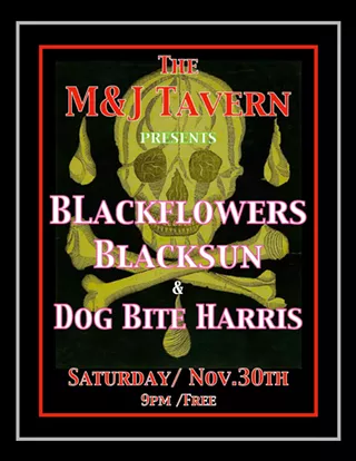 Image: Dog Bite Harris & Blackflowers Blacksun