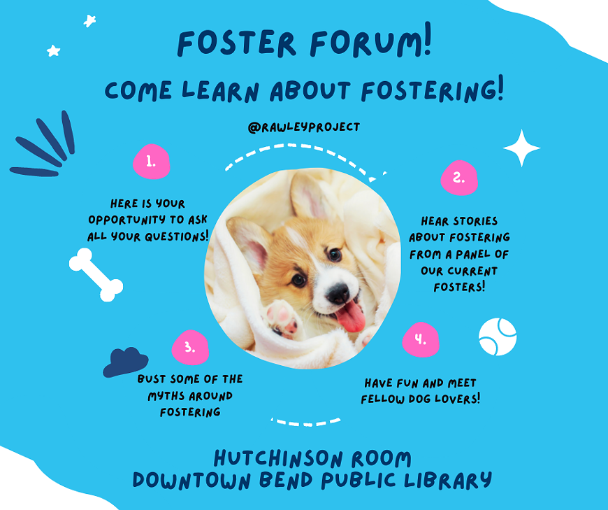 foster_forum_fb_post.png
