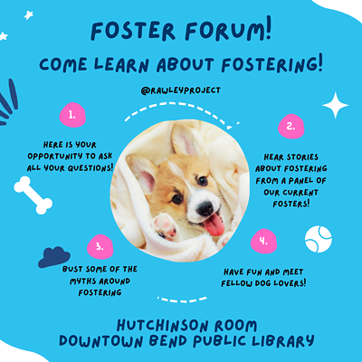 Dog Foster Forum