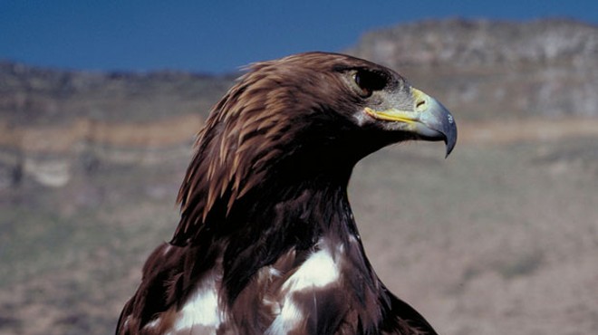 Don't allow the notion of short-term financial gain threaten the Endangered Species Act
