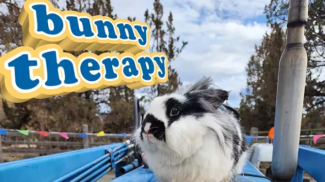 Image: Downtown Bend: Bunny Therapy with Parsley