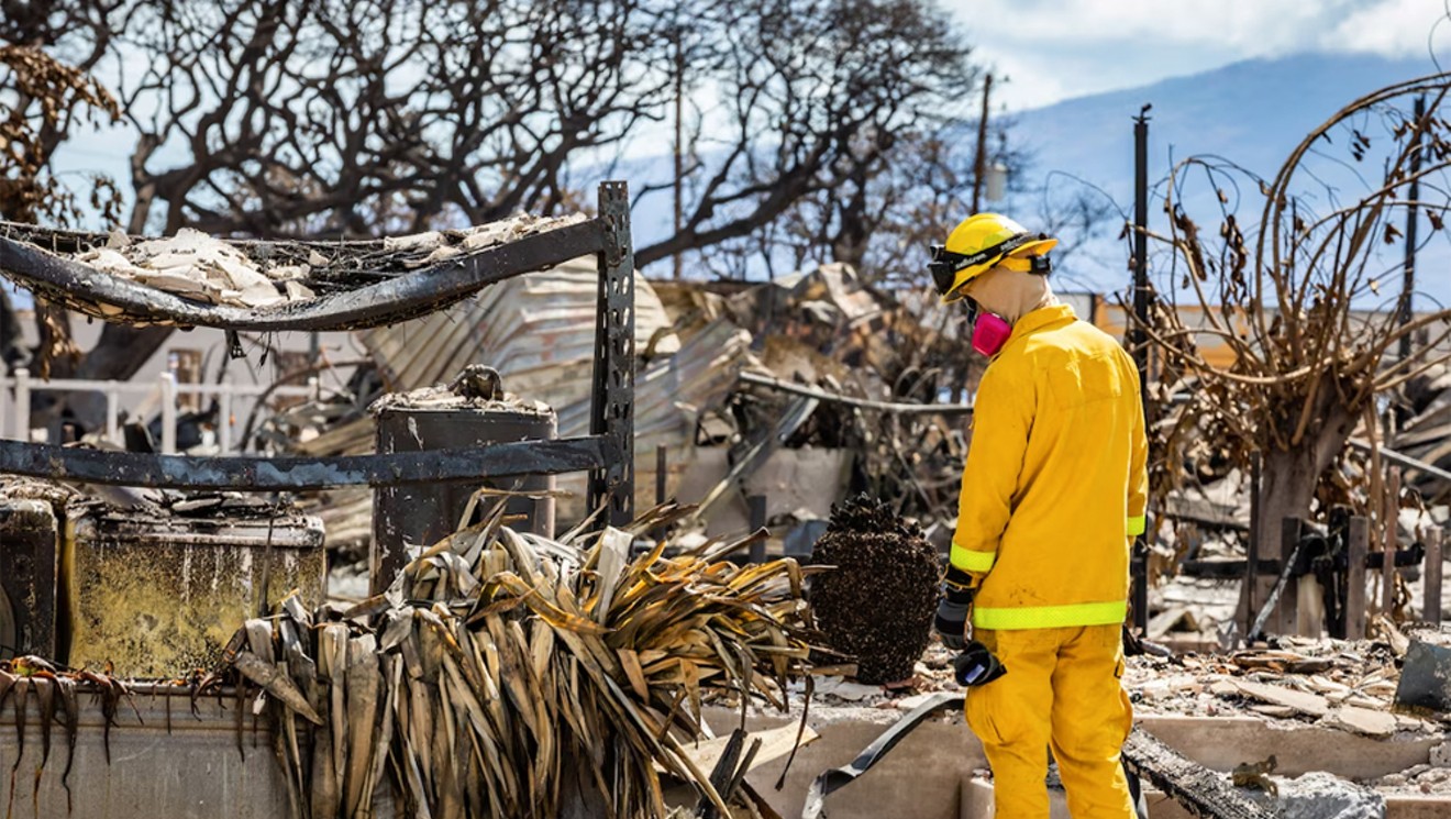 Drink Beer, Donate&#10;to Maui Fire Support