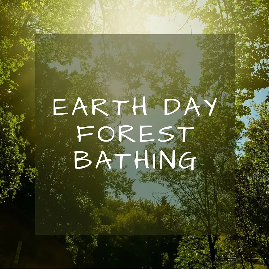 ig-forest-bathing-1-.webp