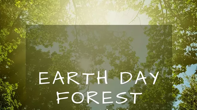 Image: Earth Day Forest Bathing