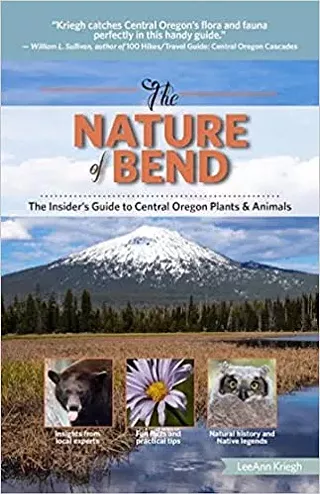 Image: Edible Adventure School with Local Author & Naturalist LeeAnn Kriegh