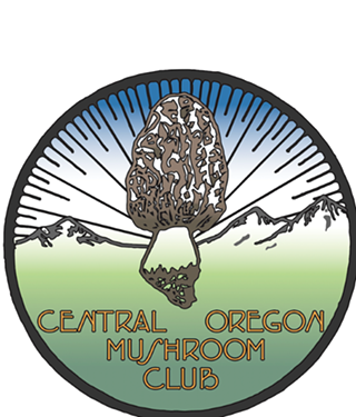 Image: Edible and Medicinal Plants of Central Oregon with Sarah Olson