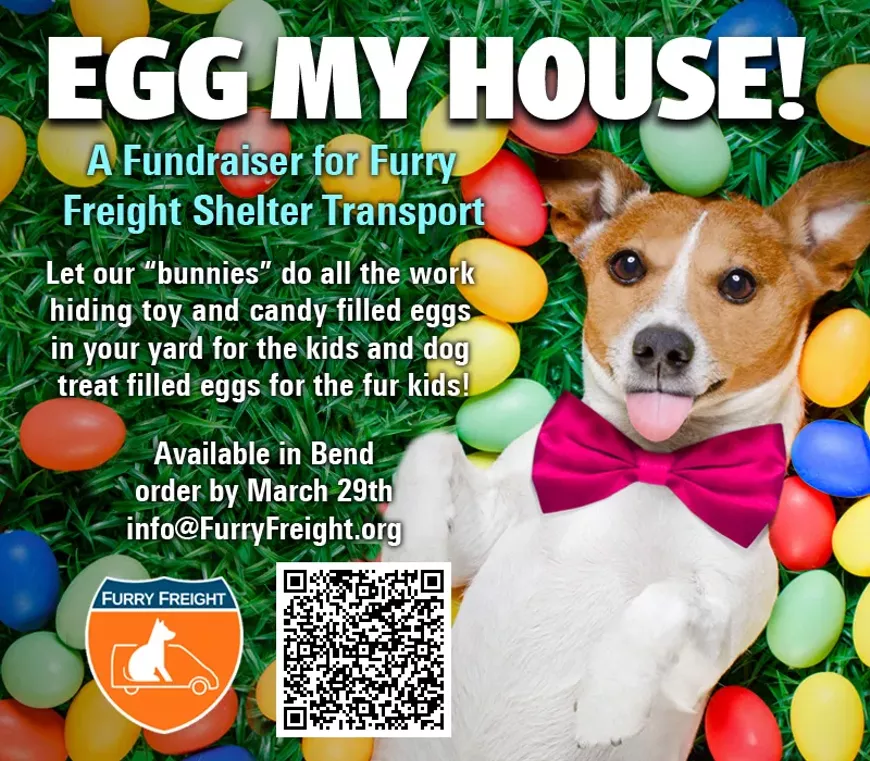 Egg My House! A Fundraiser for Furry Freight Shelter Transport!