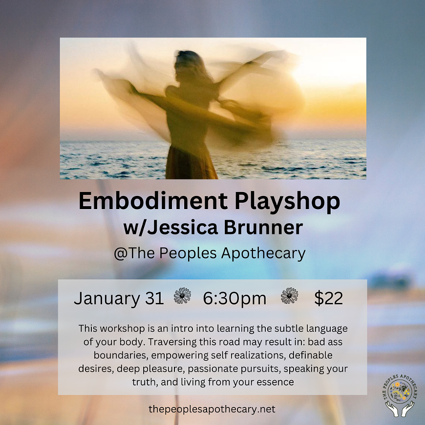 embodiment_playshop.png
