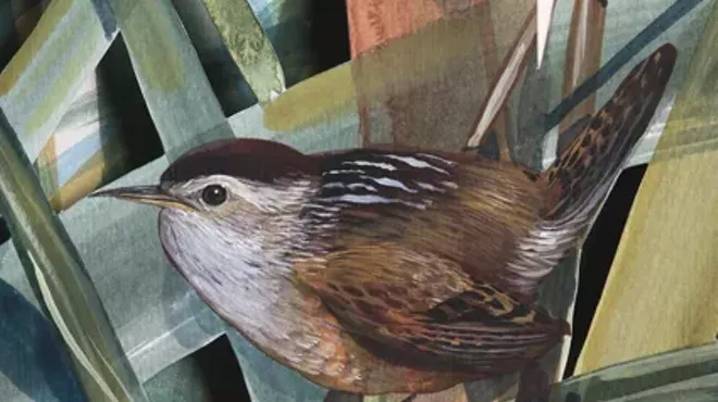 Image: Exhibit Closing: "The Image Hunter: On the Trail of John James Audubon"