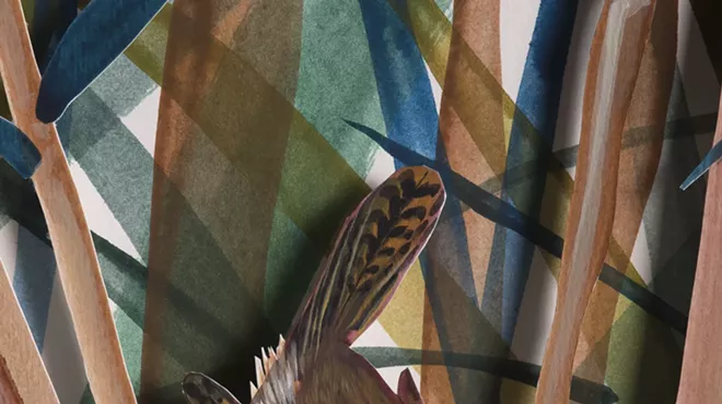 Image: Exhibit Opening: "The Image Hunter"