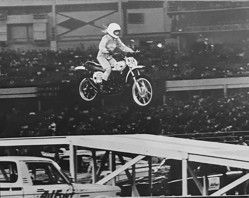 daredevils_-_debbie_lawler.webp