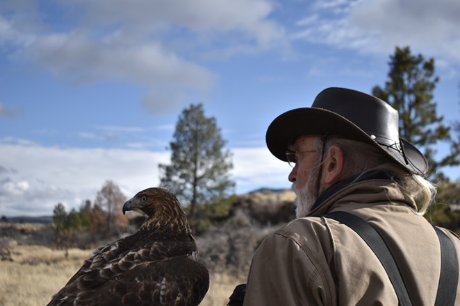 Falconry with Jim Webber