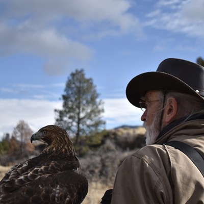 Falconry with Jim Webber