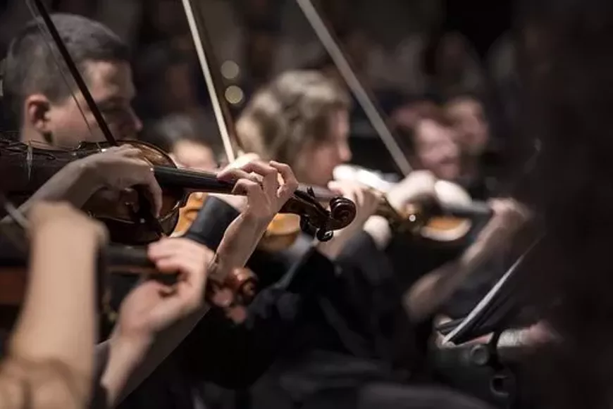violins-1838390_340.webp