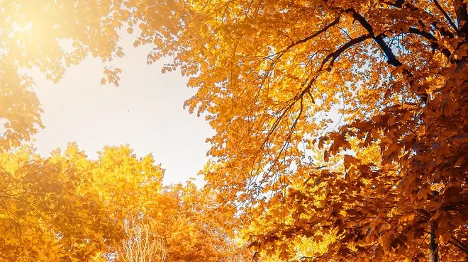 Image: Fall Colors Hike