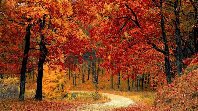 Image: Fall Equinox Semi Private Crystal Sound Bath