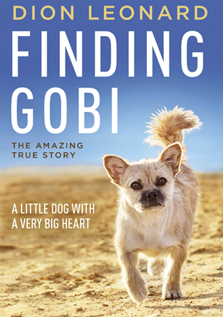 Image: Finding Gobi