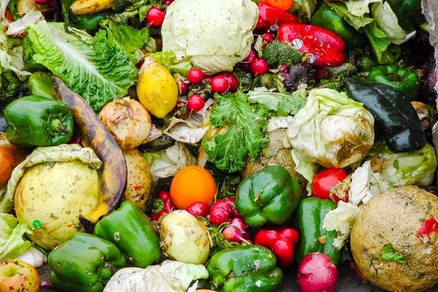 1-food-waste-photo-vegetative-1.webp