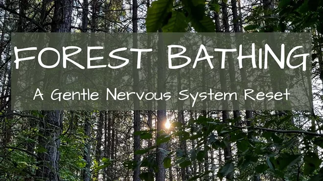 Image: Forest Bath: A Nervous System Reset