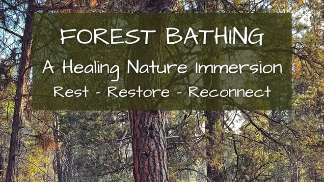 Image: Forest Bathing: A Healing Nature Immersion
