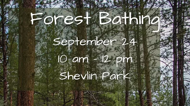 Image: Forest Bathing