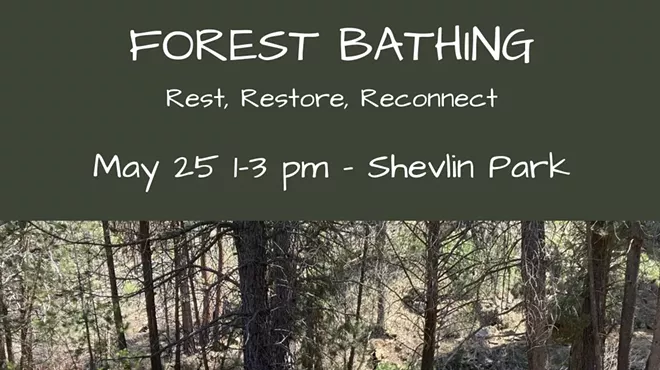 Image: Forest Bathing