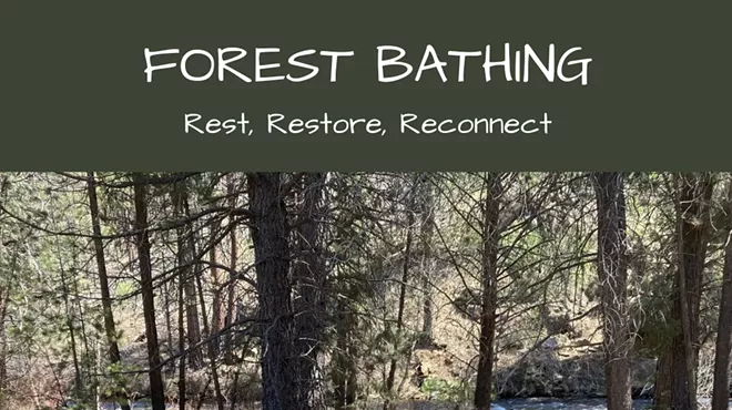 Image: Forest Bathing