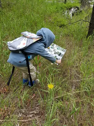 Image: Fox Walk + Owl Eyes, Metolius Preserve