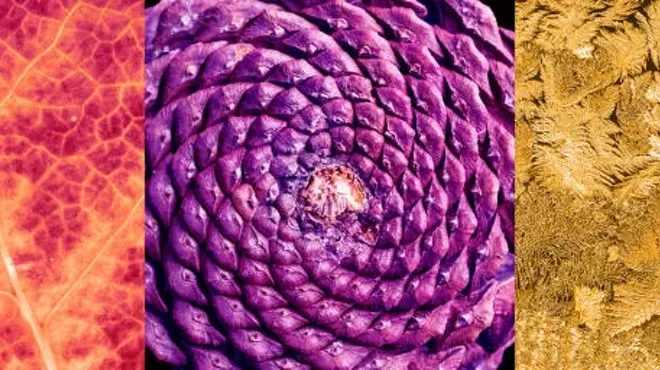 Image: Fractal Fluency: Using the Science of Nature&rsquo;s Beauty to Reduce Stress