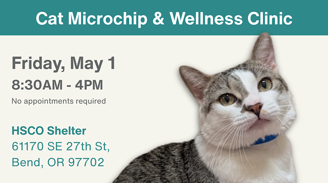 Image: Free Cat Microchip and Wellness Clinic
